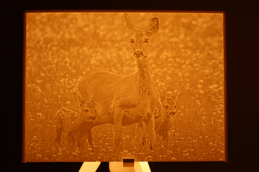 Personal lithophane lamp